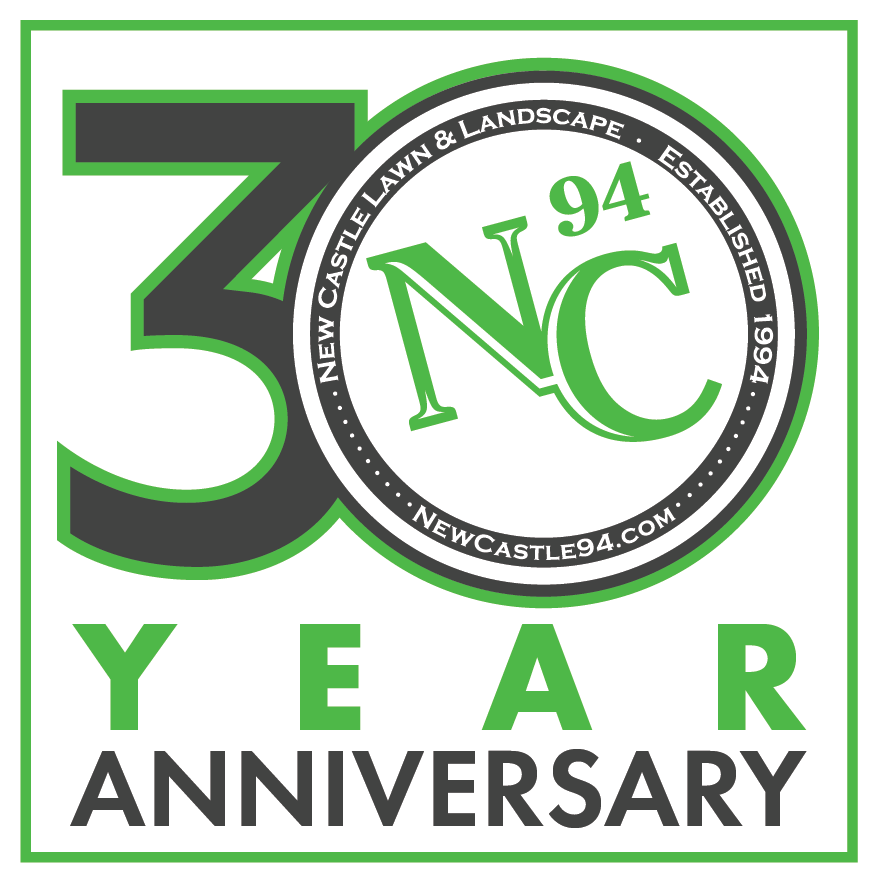 NC 30th logo 1