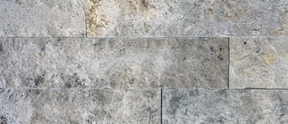 takoma silver splitface